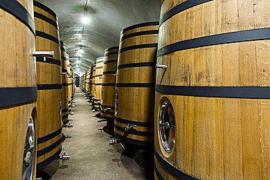 推理AVG《流星世界演绎者：警徽和匕首》6月10日PC发售